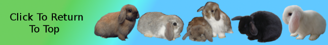 Click to return to top